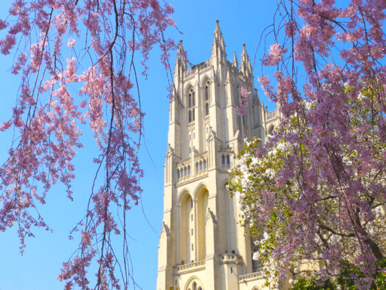 Cattedrale-Nazionale-di-Washington