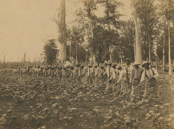 Convict Leasing