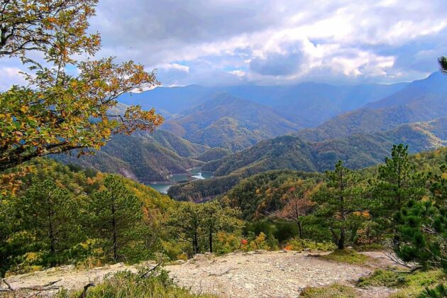 Parco Nazionale delle Foreste Casentinesi