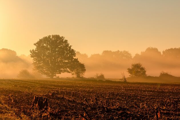 agricoltura preindustriale