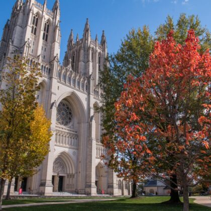 cattedrale di washington gargoyle