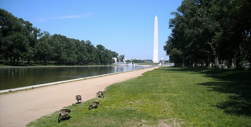 Capitol-Reflecting-Pool