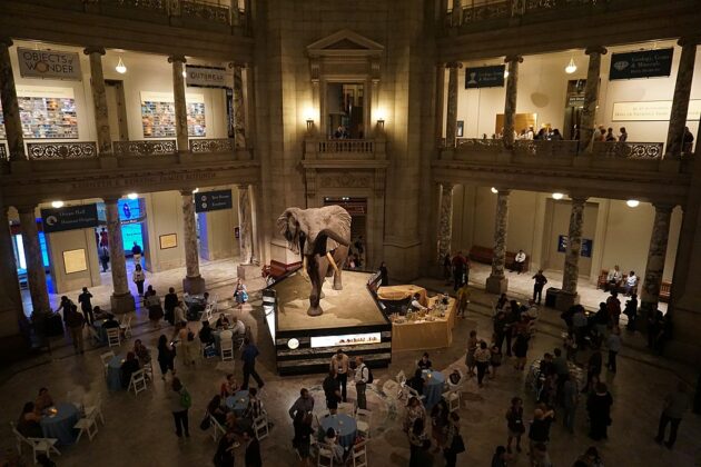 National-Museum-of-Natural-History