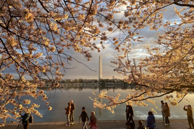 cose da vedere al national mall