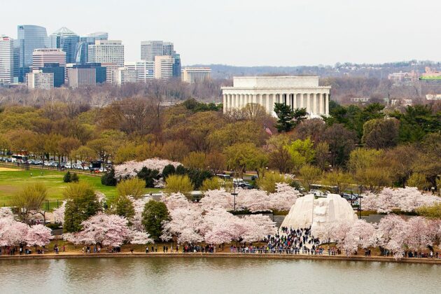 national-mall-cosa-vedere