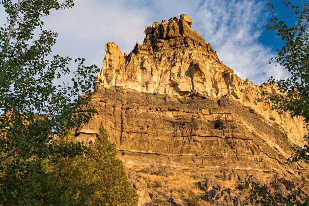 Cove Palisades State Park culver