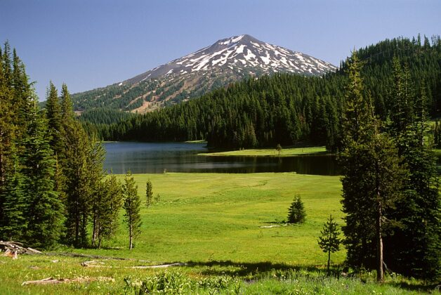 Deschutes National Forest