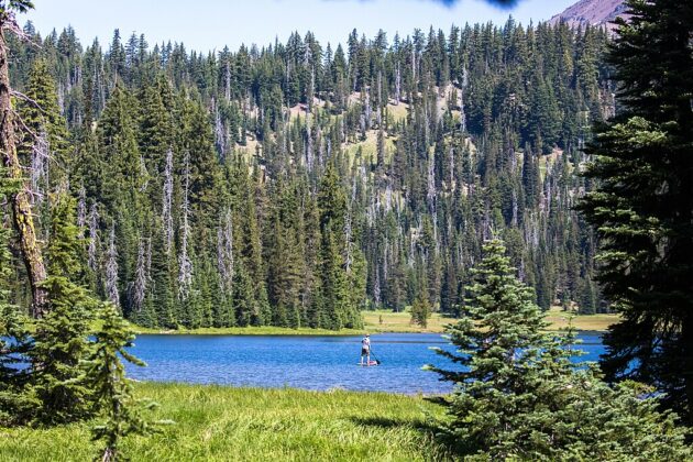 Deschutes National Forest