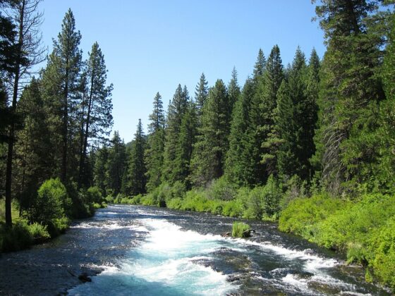 Deschutes-National-Forest la pine oregon central