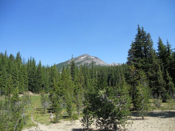 Diamond Peak Wilderness