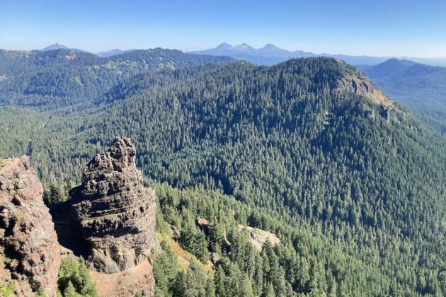 Iron Mountain Trail in Willamette National Forest