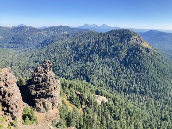 Iron Mountain Trail in Willamette National Forest