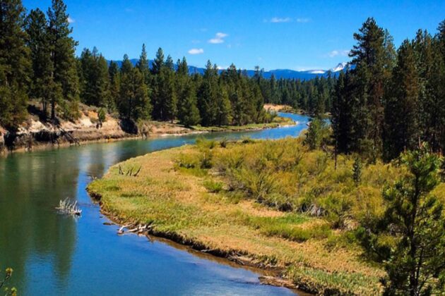 LaPine State Park