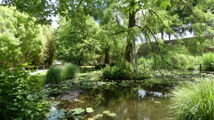 Orto botanico di Lucca