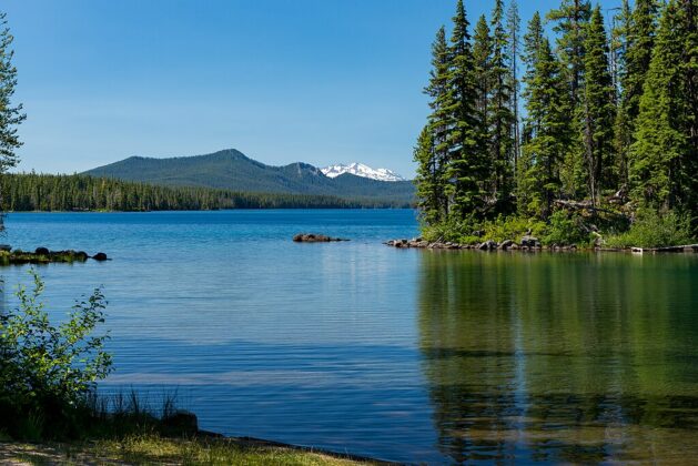 Waldo Lake Wilderness