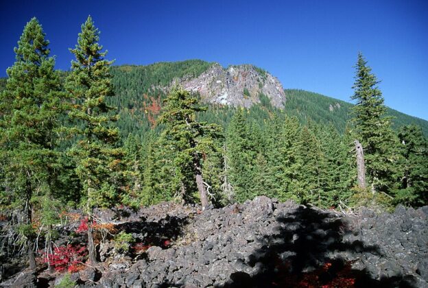 Willamette National Forest