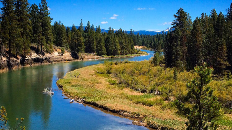 LaPine State Park