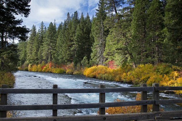 Fiume Metolius