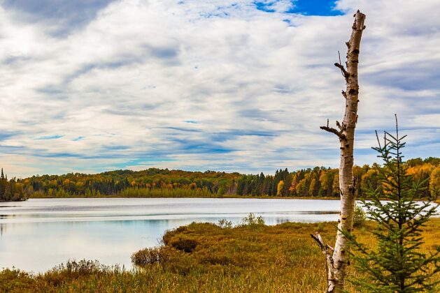 mink lake