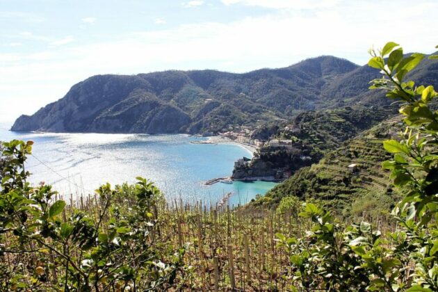 punta mesco cinque terre